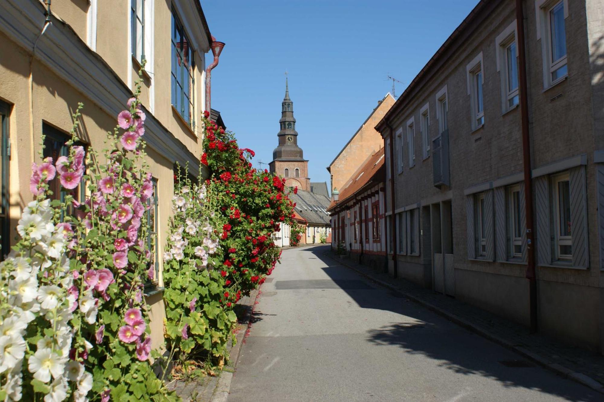 Ystad Camping エクステリア 写真