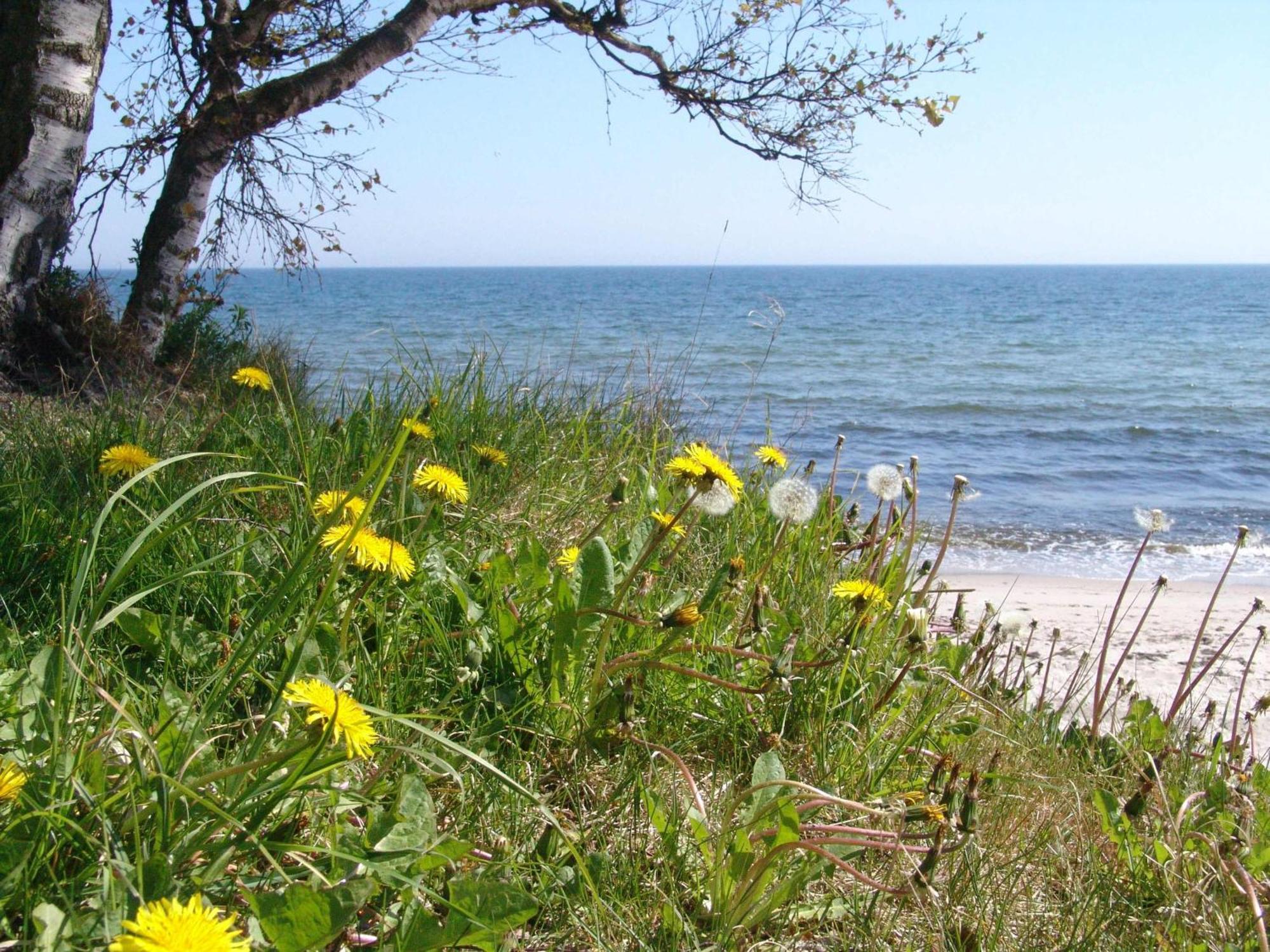 Ystad Camping エクステリア 写真